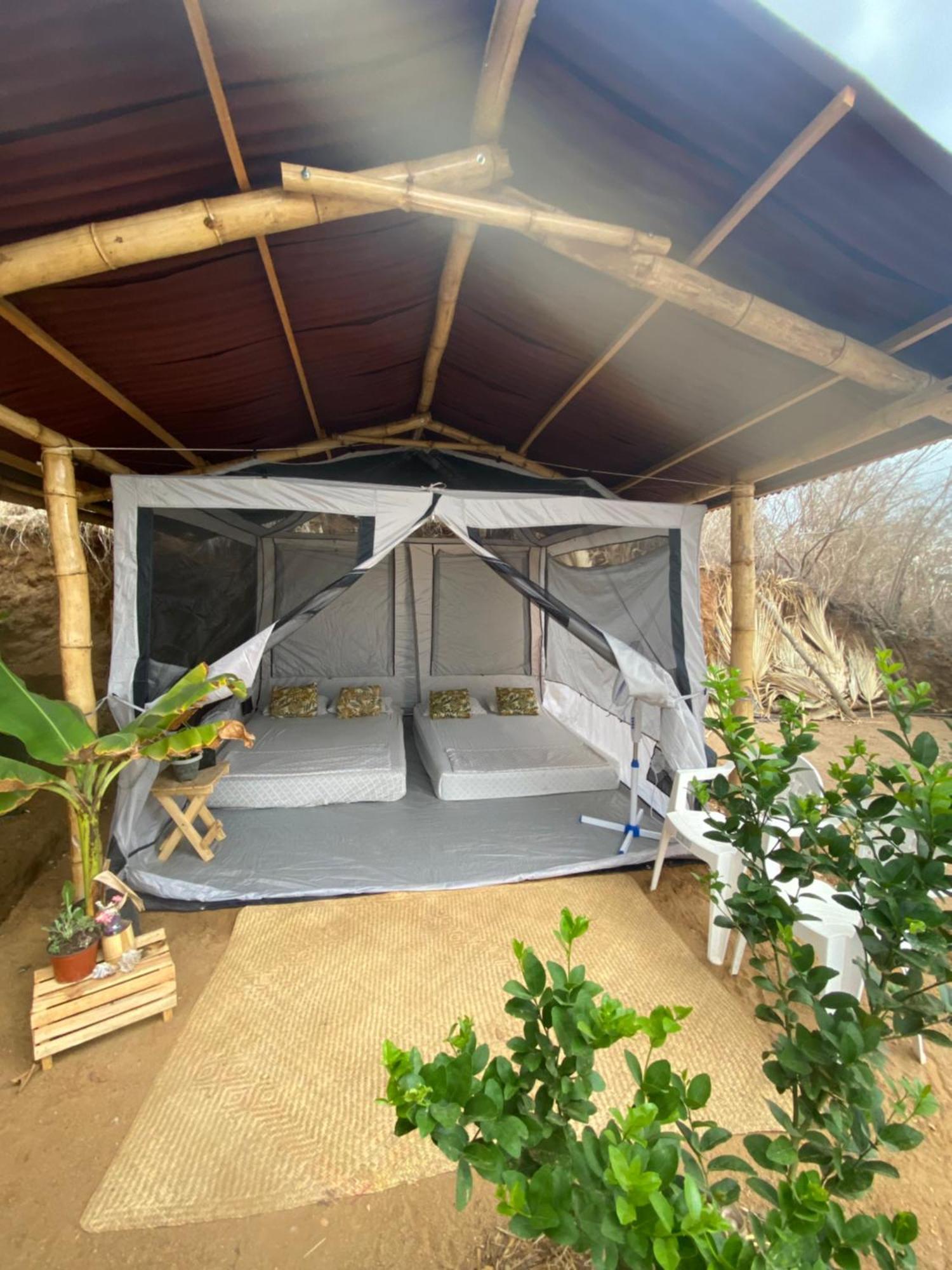 Bajo Las Estrellas Eco Glamping 마순테 외부 사진