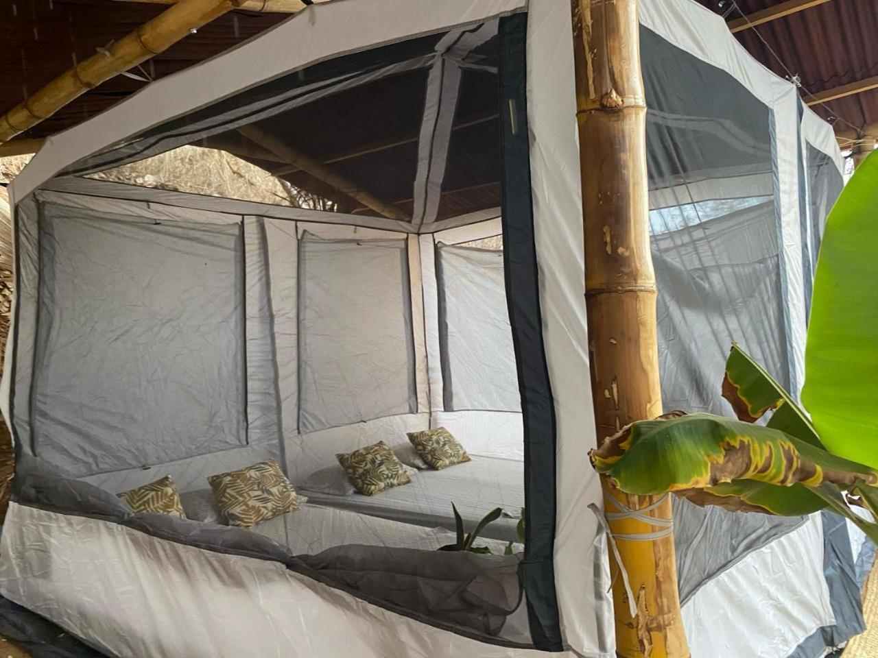 Bajo Las Estrellas Eco Glamping 마순테 외부 사진